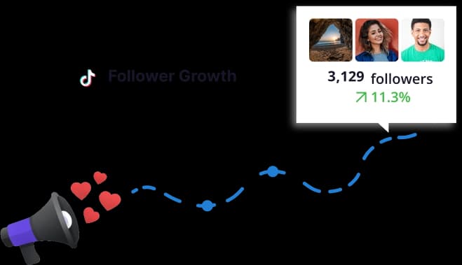 Growth chart showing organic audience growth